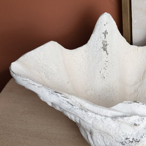 Crestview Collection Henley Shell Sculpture - Elegant Crestview Decorative Accent For Coastal-inspired Home Décor   Cvdzep049