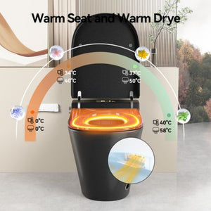 English Elm Unique Intelligent One-piece Toilet with Integrated Bidet Heated Seat and Auto Lid Black W3133P414563