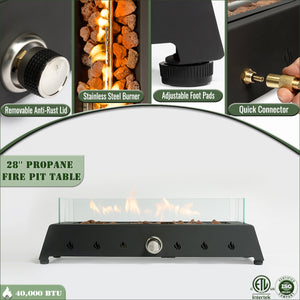 English Elm 28" Portable Fire Pit 50,000 BTU Propane Tabletop with Glass Wind Guard Lava Rocks Steel Burner W853P143553