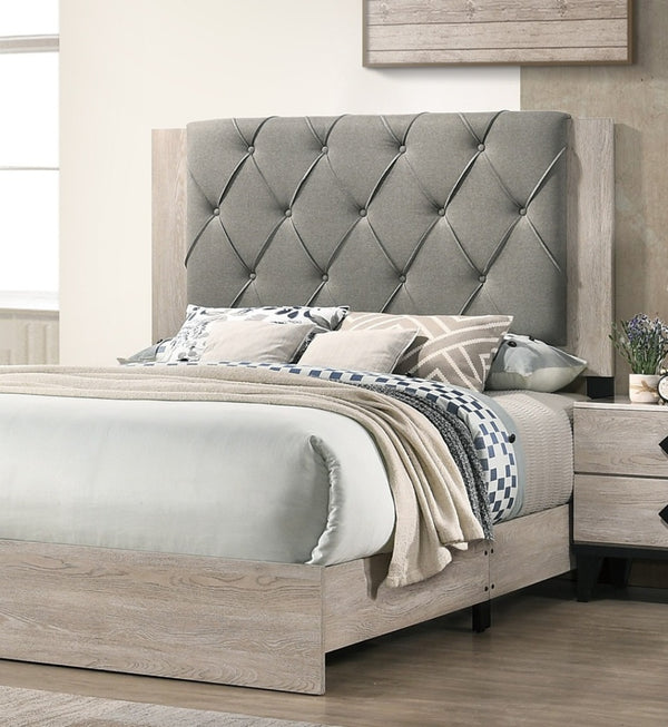 English Elm Contemporary Cream Finish Queen Bed With Gray Tufted Headboard - Stylish Rubberwood Frame Design B011P236790