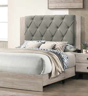 English Elm Contemporary Eastern King Bed With Cream Finish & Gray Tufted Headboard - Minimalist Chic Design B011P236792