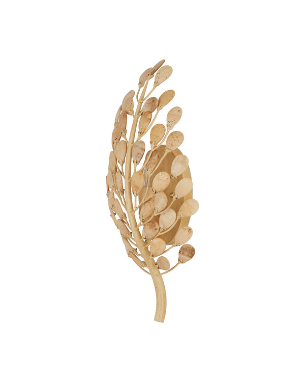 Currey & Company Maypan Wall Sconce - Organic Charm With Hand-fastened Coconut Shell Petals & Wrought Iron Frame Natural Coco Shells ,Wrought Iron 5900-0057-currey-company