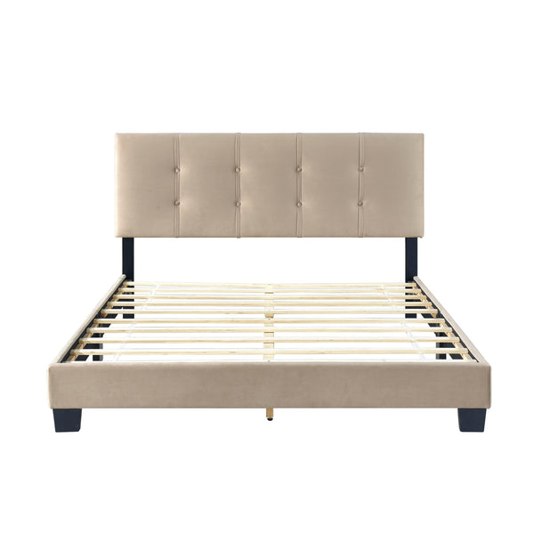 English Elm 1pc Queen Platform Bed Brown Velvet Upholstered with Button Tufted Adjustable Headboard, Low-Profile Solid Wood Frame 42" H Light Brown 65.5 L x 26 W x 5 H B011P203573