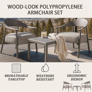 English Elm Modern 2-Piece Accent Chair Set with Coffee Table — Plush Cushions, Sturdy Iron Frame, Compact Chic Design Warm Grey W3450P323348