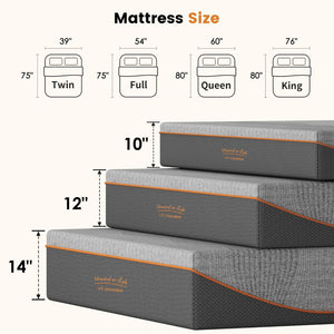 English Elm Queen 12 Inch Memory Foam Mattress Fiberglass Free Cooling Medium Feel Certified W2889P423143