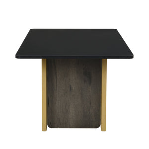 English Elm VIBE Light Luxury TV Cabinet and Coffee Table Set with Gold Accents, MDF & Metal, Spacious Storage Black SJ000149AAB