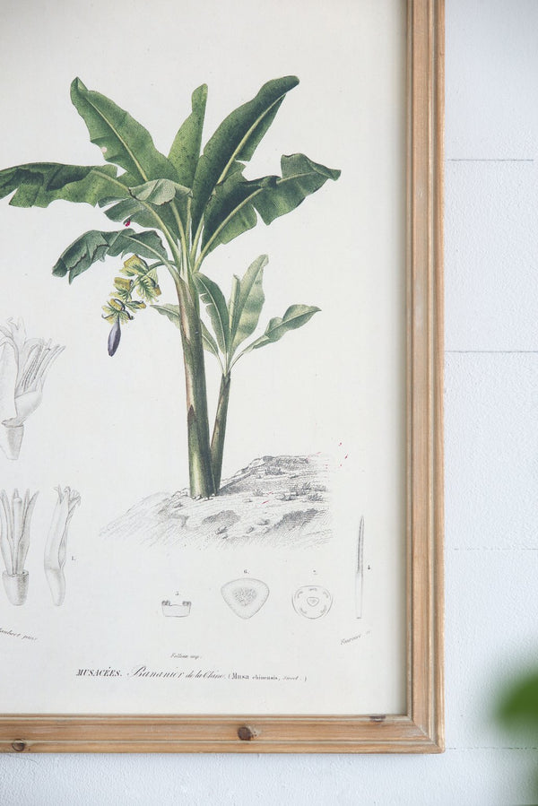 English Elm S/2 Framed Tree Prints Pair 15.5x23.5" – Botanical Wall Art Set with Brown Frames, Green & Earth Tones, Transitional Decor for Living or Dining Room (Pair) W2078P205296