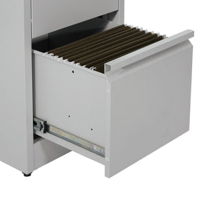 OSP Home Furnishings 2-drawer Metal File Cabinet Fully Assembled for Office Storage and Letter Size Filing 2-Drawer VF2DR-G
