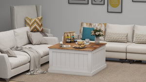 English Elm 31.5" Farmhouse Coffee Table with Hinged Lift Top, Rustic Square Wood Center Table w/Hidden Storage White W282P160415