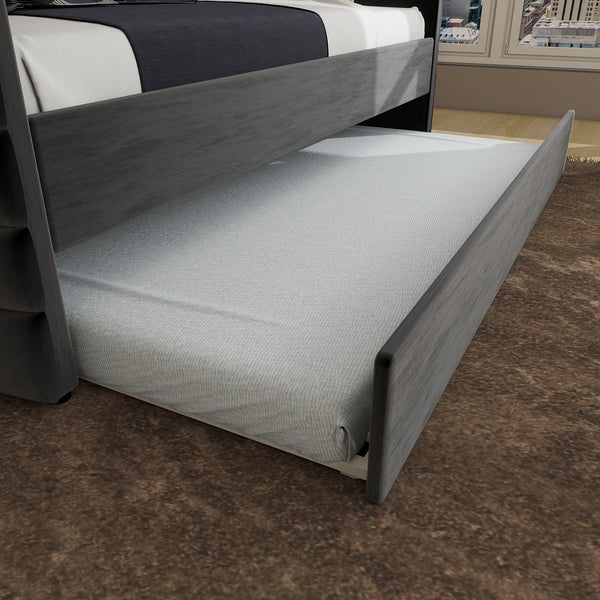 English Elm MODERN Twin Daybed with Trundle in Black Velvet Upholstery, Gold Accents, Space-Saving Guest Bed W1867S00012