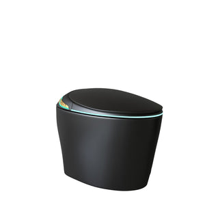 English Elm Unique Smart Toilet with Built in Bidet Auto Lid Foot Sensor and Warm Air Dryer W3133P384976