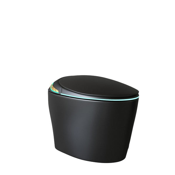 English Elm Unique Smart Toilet with Built in Bidet Auto Lid Foot Sensor and Warm Air Dryer W3133P384976