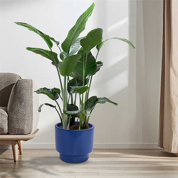 English Elm 3 Pieces Ceramic Flowerpot Set - Handcrafted Antique Blue-Green Planters For Indoor & Outdoor Use W3273P321546