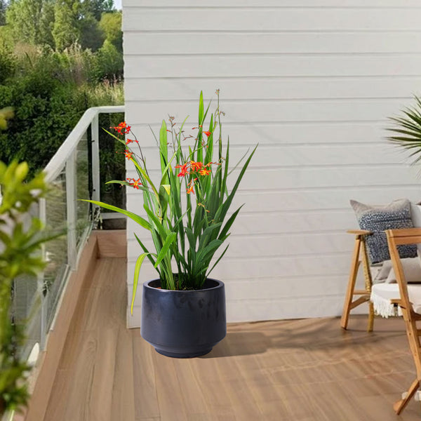 English Elm 3 Pieces Ceramic Flowerpot Set - Handcrafted Antique Gray Planters For Gardens, Patios & Windowsills W3273P321502