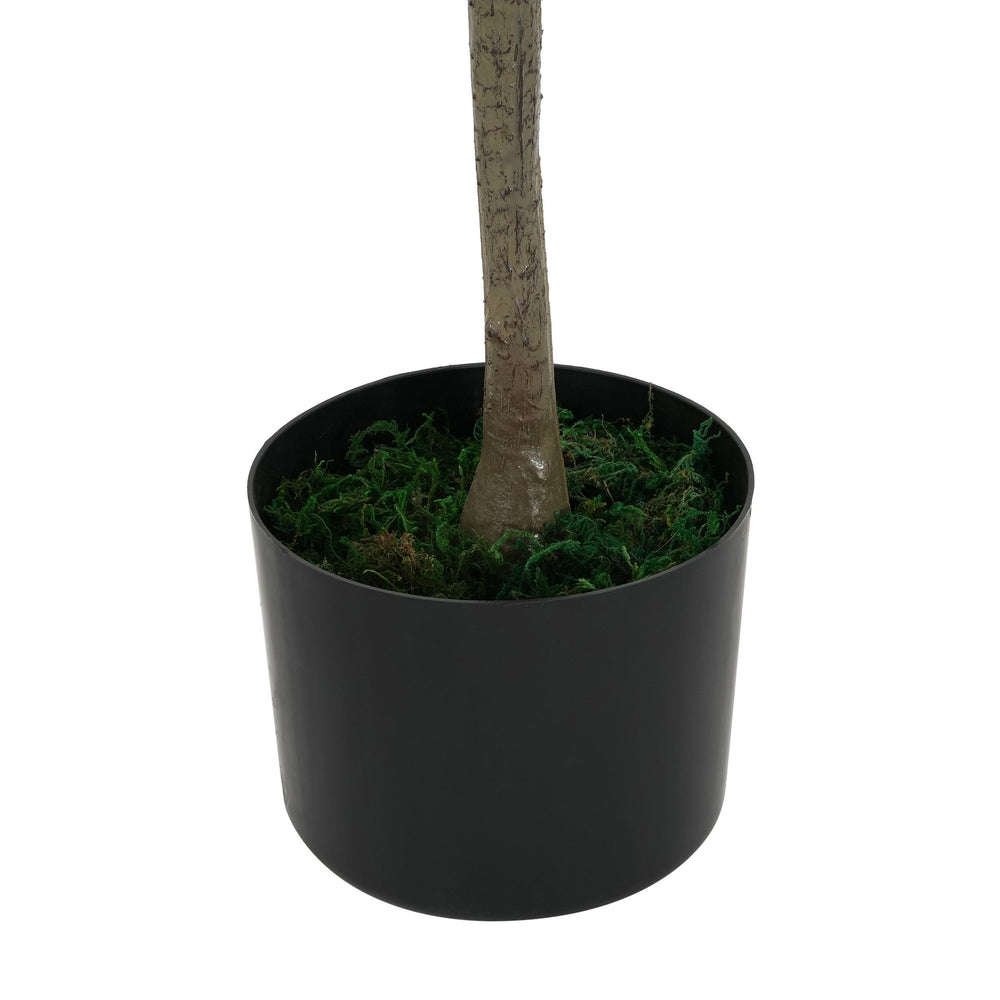 English Elm Christopher Knight Home® - 66" Artificial Olive Tree with Black Pot — Lifelike 66" Pre-Potted Faux Olive Tree, Low-Maintenance Green Décor for Home N772P286765G