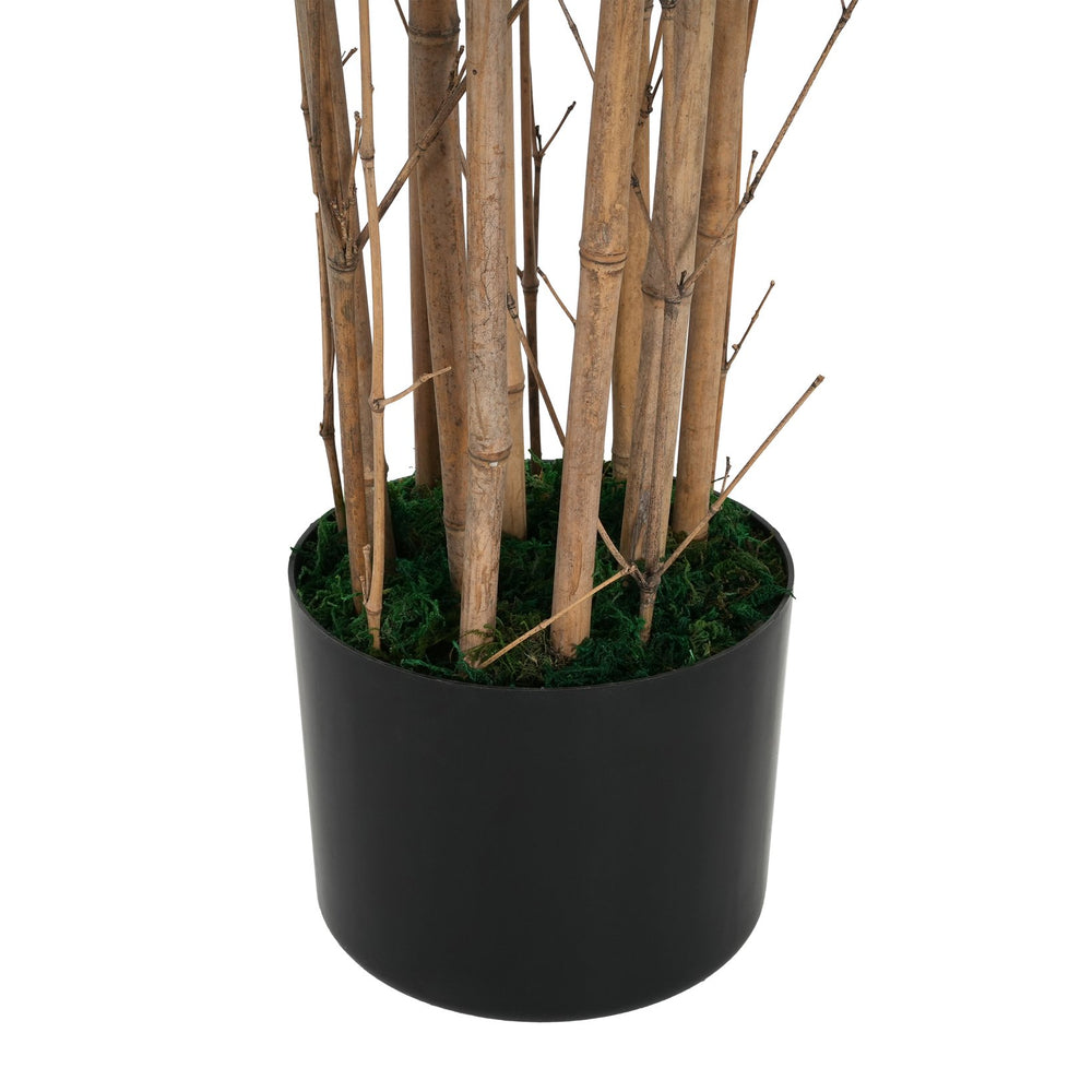 English Elm Christopher Knight Home® - 70" Artificial Bamboo Tree in Black Plastic Pot — Lifelike 70" Green Bamboo, Pre-Potted, Low-Maintenance Decor N772P286761G