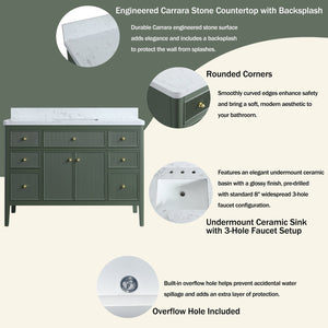 English Elm Fully Assembled 48'' Green Bathroom Vanity With Solid Wood, Engineered Marble Top & Soft-Close Drawers W1826P308982