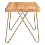 !nspire Madox Accent Table Natural Natural/Aged Gold Solid Wood/Iron