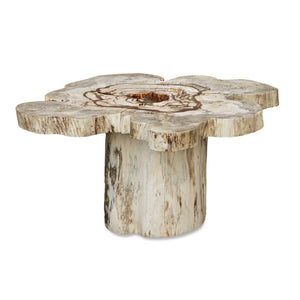 Uttermost Uttermost Anzalone Bleached Tamarind Solid Wood Coffee Table Organic Sculptural Form 50365