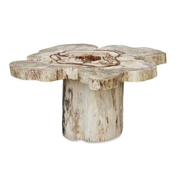 Uttermost Uttermost Anzalone Bleached Tamarind Solid Wood Coffee Table Organic Sculptural Form 50365