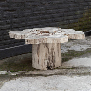 Uttermost Anzalone Bleached Tamarind Solid Wood Coffee Table Organic Sculptural Form