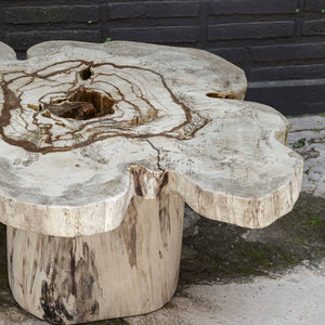 Uttermost Anzalone Bleached Tamarind Solid Wood Coffee Table Organic Sculptural Form