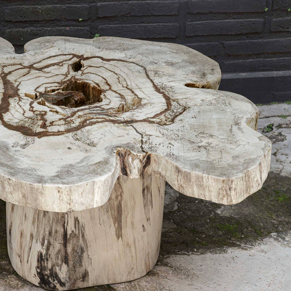 Uttermost Anzalone Bleached Tamarind Solid Wood Coffee Table Organic Sculptural Form