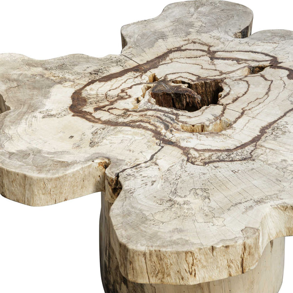 Uttermost Anzalone Bleached Tamarind Solid Wood Coffee Table Organic Sculptural Form