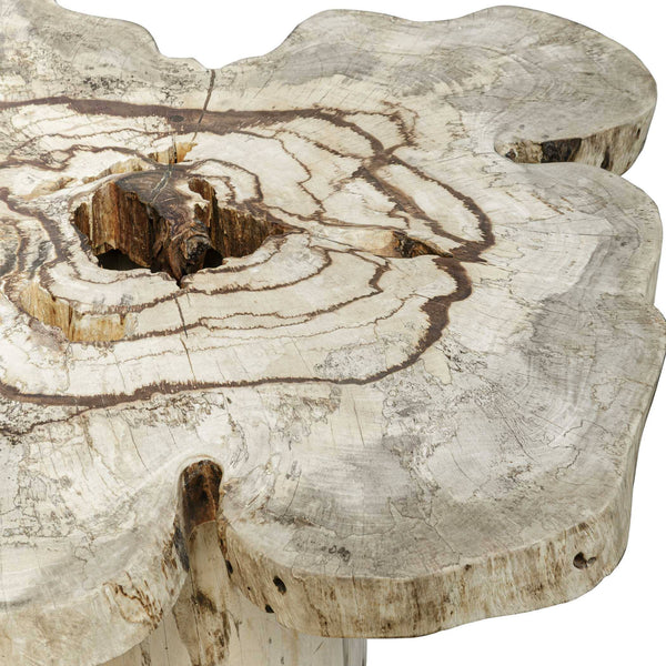 Uttermost Anzalone Bleached Tamarind Solid Wood Coffee Table Organic Sculptural Form