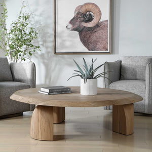Uttermost Tiernan Solid Reclaimed Oak Oval Coffee Table with Sculptural Faceted Legs