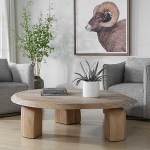 Uttermost Tiernan Solid Reclaimed Oak Oval Coffee Table with Sculptural Faceted Legs