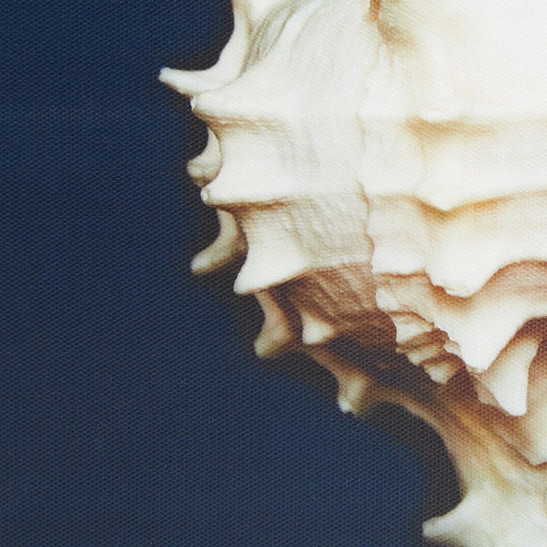 JLA Home Madison Park - 4-piece Framed Canvas Wall Art Set — Julie Greenwood Seashells on Navy with Wood-Tone Frames, Coastal Elegance MP95C-0062