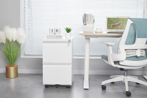English Elm [requires Assembly] Locking Steel File Cabinet Two Drawers Mobile Wheels Home Office Storage T3625P453425