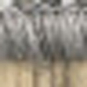 Homeroots 10' X 13' Blue Oriental Stain Resistant Indoor Outdoor Area Rug  Polypropylene 506847