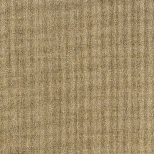 HomeRoots 5' Indoor Outdoor Area Rug - Tan, Stain Resistant, Durable & Versatile for High-Traffic Spaces 5'3" x 7'6" 506896