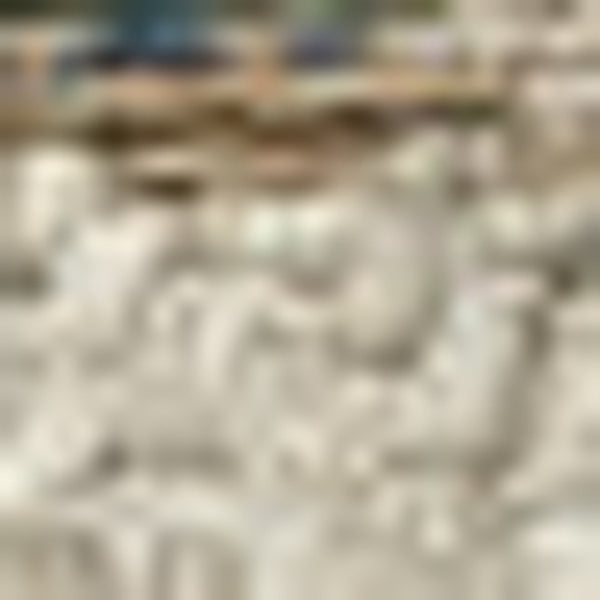 HomeRoots 5' Gray Oriental Indoor-Outdoor Area Rug - Stain and Water Resistant, Timeless Medallion Design 7'10" x 10' 506957