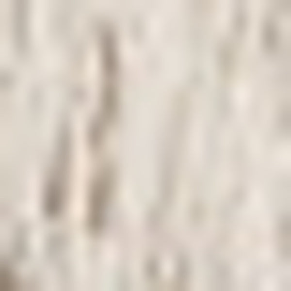 Homeroots 5' X 8' Grey And Ivory Oriental Power Loom Stain Resistant Area Rug With Fringe Grey,Ivory Polyester 509438