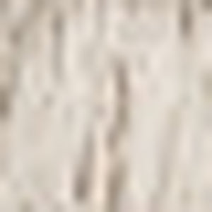 Homeroots 10' X 13' Grey And Ivory Oriental Power Loom Stain Resistant Area Rug With Fringe Grey,Ivory Polyester 509441