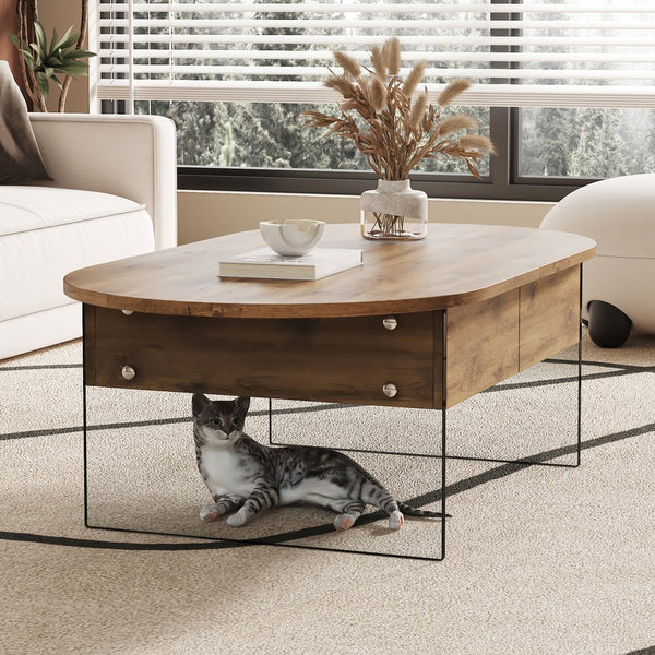 English Elm Coffee modern wood coffee table with double drawers, tempered glass sides, sleek storage & easy assembly W1151P191785