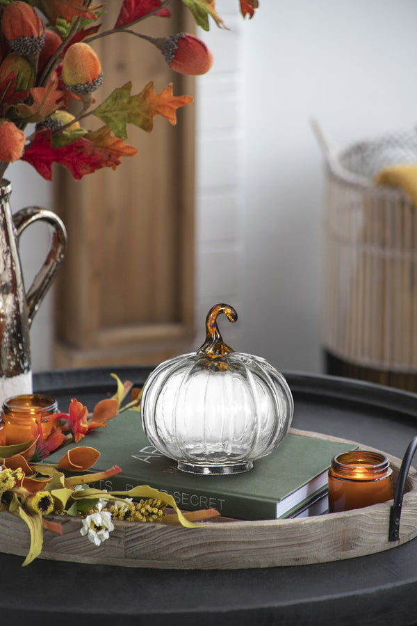 English Elm Set of 4 Glass Pumpkins 4x4x5" — Elegant Fall Tabletop Ornaments for Harvest, Thanksgiving Decor Clear W2078P387548