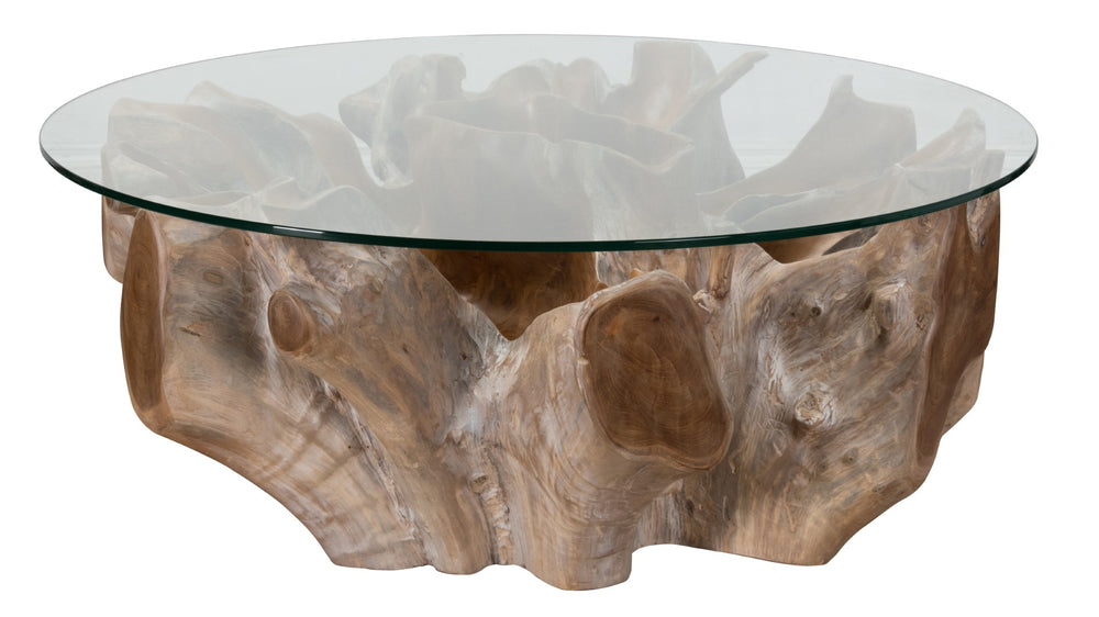 Classic Home Hailey Coffee Table - Natural White Wash Finish with Teak Root Base and Modern Glass Top Design 51000057