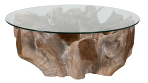 Classic Home Hailey Coffee Table - Natural White Wash Finish with Teak Root Base and Modern Glass Top Design 51000057