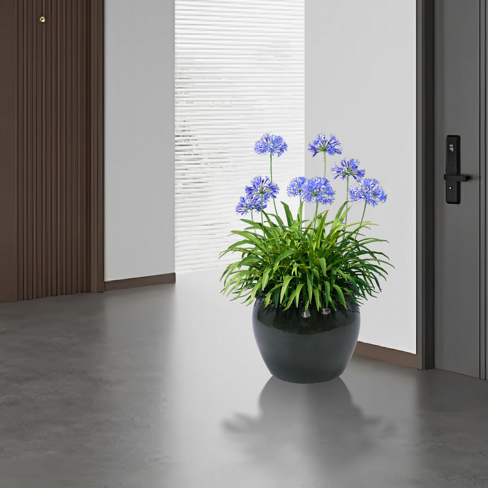 English Elm 3 Pieces Ceramic Flowerpot Set - Elegant Antique Blue-Green Planters For Home, Garden & Patio Decor W3273P321543