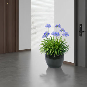 English Elm 3 Pieces Ceramic Flowerpot Set - Elegant Antique Blue-Green Planters For Home, Garden & Patio Decor W3273P321543