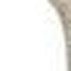 Homeroots 4' X 6' Orange And Ivory Wool Floral Hand Knotted Area Rug Orange,Gray Wool 513110