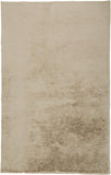 Homeroots 5' X 7' Tan Shag Area Rug Tan Polyester 514251