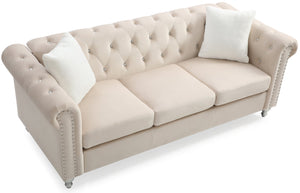 English Elm Raisa Velvet Tufted Sofa with Jeweled Buttons, Nailhead Accents, Pocketed Coil Cushions & Pillows Beige 15 L x 26 W x 34 H B078S00108