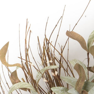 Homeroots 28" Green And White Artificial Cotton Wreath  Styrofoam 516082