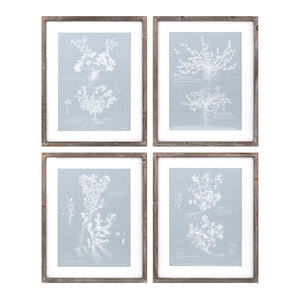 Homeroots Set Of Four 20" X 16" Blue And White Flower Solid Wood Framed Art  Solid Wood 516374