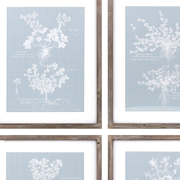 Homeroots Set Of Four 20" X 16" Blue And White Flower Solid Wood Framed Art  Solid Wood 516374